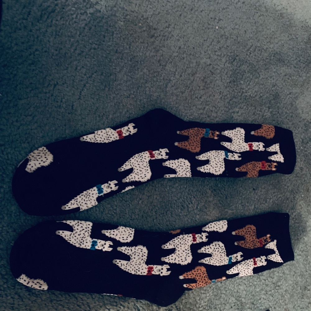 Llama socks